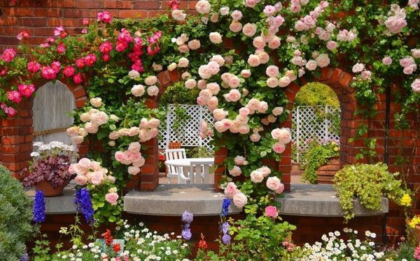 Inspirational landscaping climbing rose garden stone wall