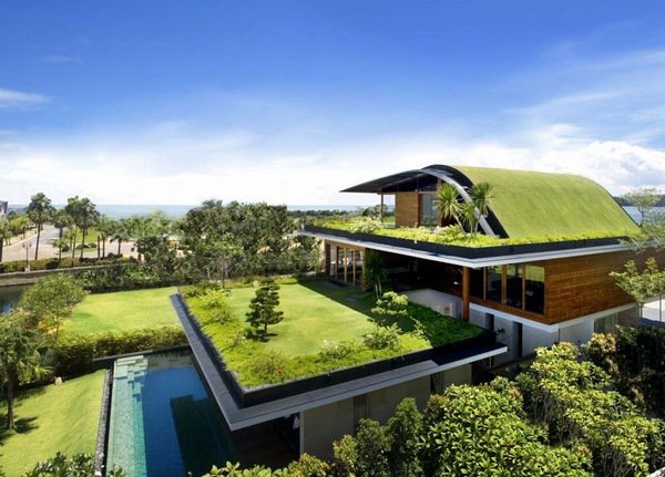 Inspiring modern roof garden design small trees lawn