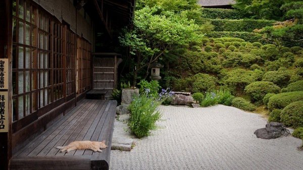 Japanese garden design home garden ideas patio landscaping
