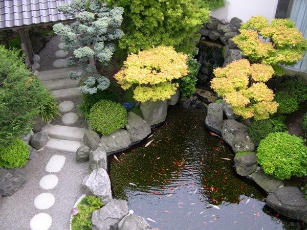 Japanese garden design water elements path stones koi pond
