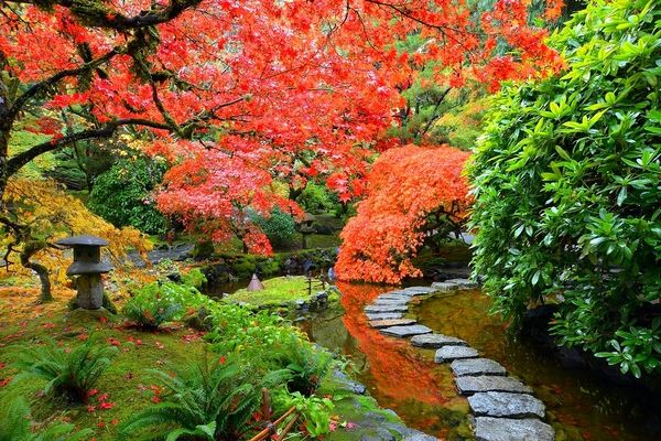 Japanese garden plants japanese garden design ideas maple tree