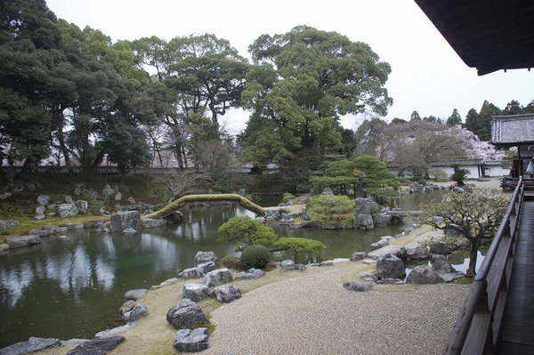 Japanese garden plants japanese garden design ideas water feature bridge zen garden