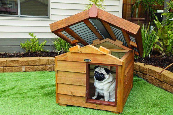 Luxury dog house ideas removable roof