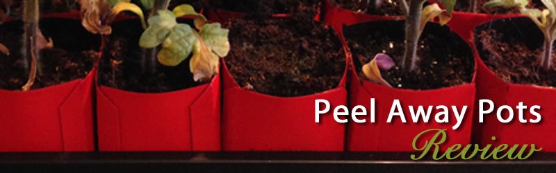 Peel Away Seed Starting Pots Review