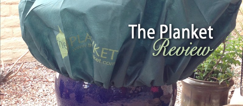 Review of The Planket