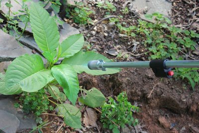 Sievert weed torch Pokeweed control2
