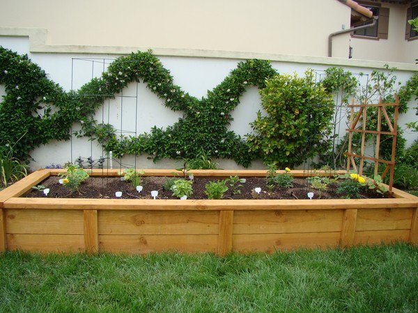 Raised vegetable garden bed patio landscape garden fence vine