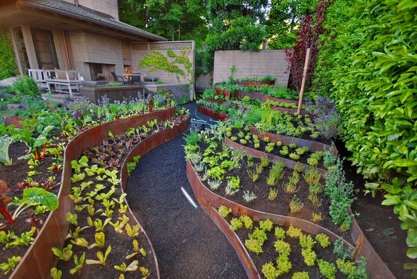Raised vegetable garden ideas gravel paths patio garden ideas