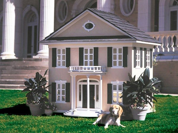amazing dog house ideas dog mansion design
