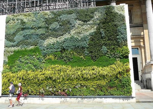 amazing wall garden urban landscape design