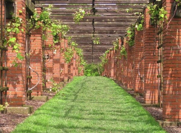 awesome grape arbor ideas pillars wood slats garden path