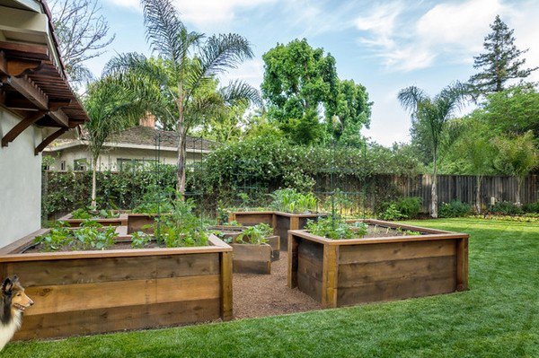 awesome raised vegetable garden design wooden raised beds