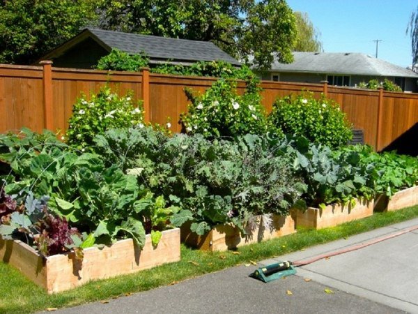 vegetable garden design ideas raised beds garden fence