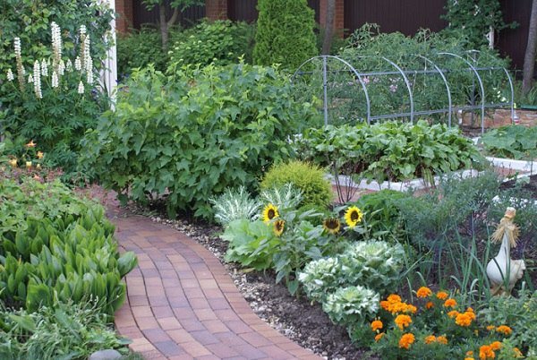 beautiful decorative vegetable garden design garden path home garden ideas