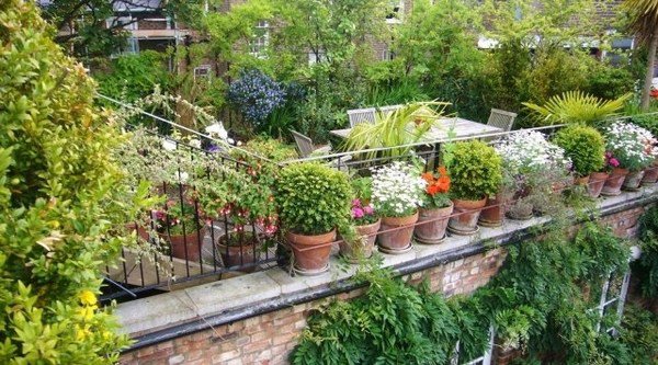 beautiful roof garden flowers outdoor furniture