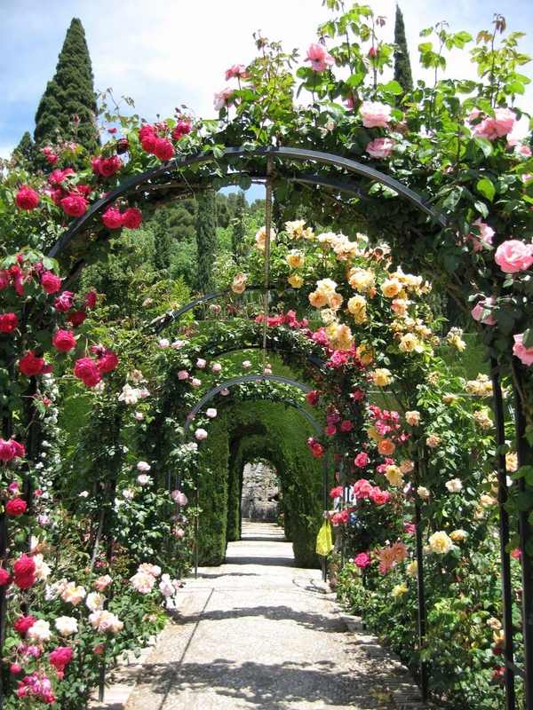 beautiful rose garden designs romantic gardens