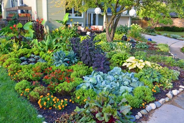 beautiful vegetable garden ideas front yard patio gardens