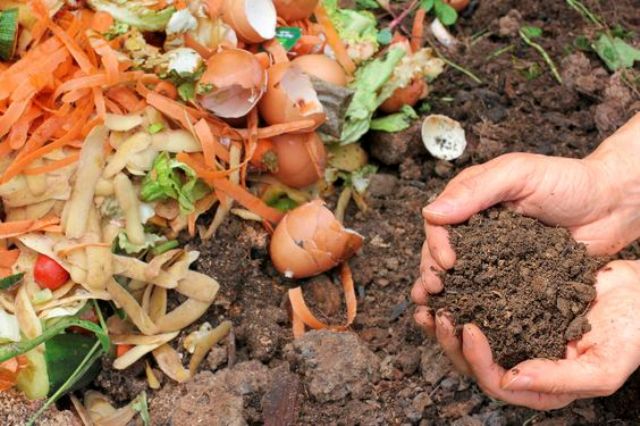 Best Composting Tips To Create A Perfect Compost