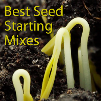 Best Seed Starting Mixes