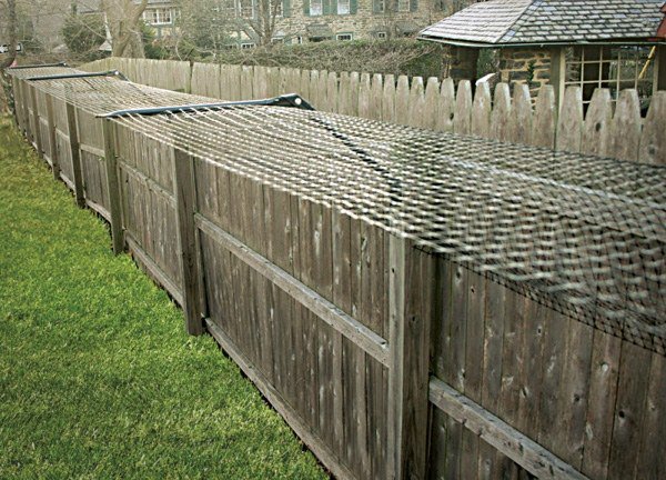cat proof garden ideas cat fence cat barrier fence design ideas