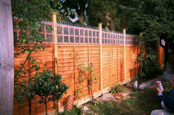 cat proof garden ideas cat fence with spikes wooden fence