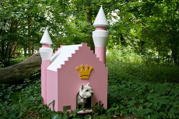 cool dog home designs fairytale castle