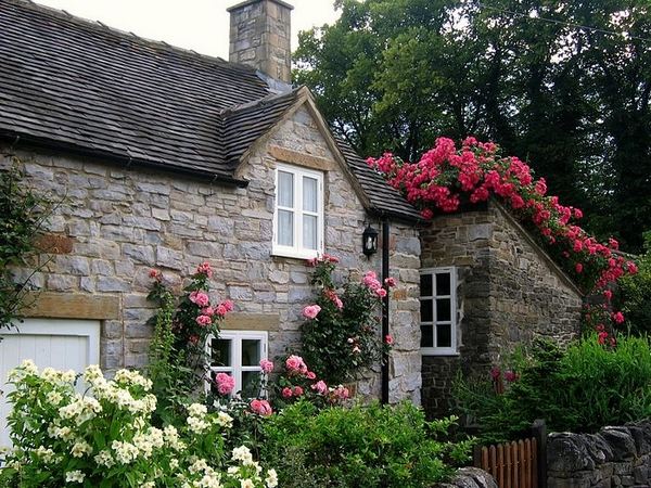 cottage gardens ideas climbing roses awesome cottage garden design