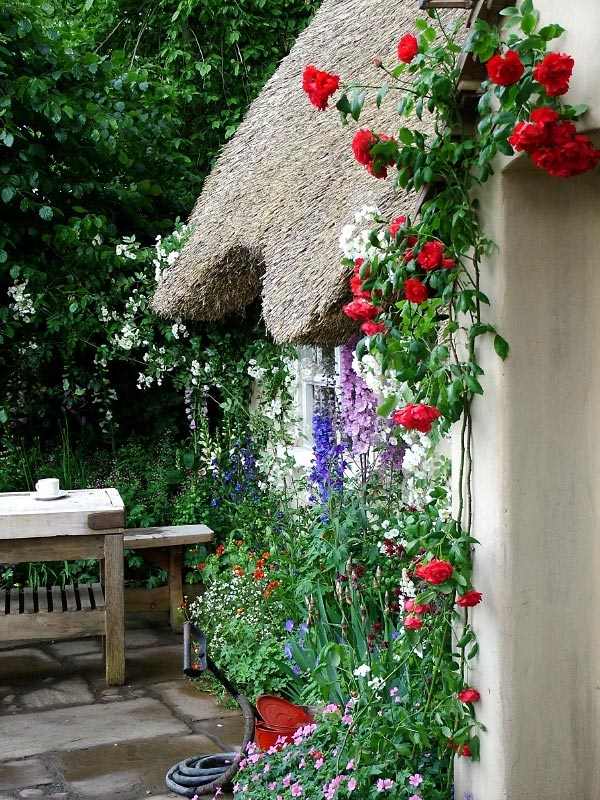cottage gardens ideas climbing roses romantic English cottage 