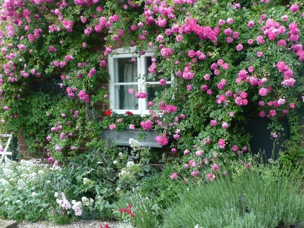 cottage gardens ideas romantic garden design pink roses