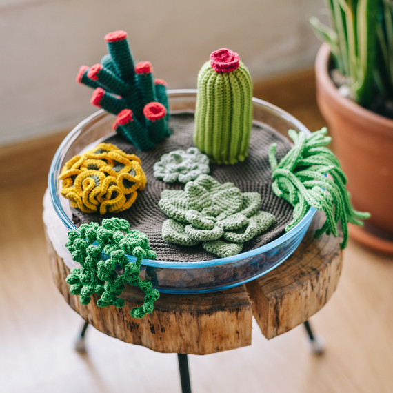 Crochet succulents