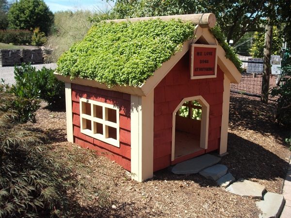 cute dog house plans green roof
