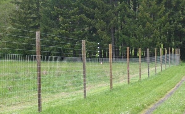 deer fence ideas deer fence posts 