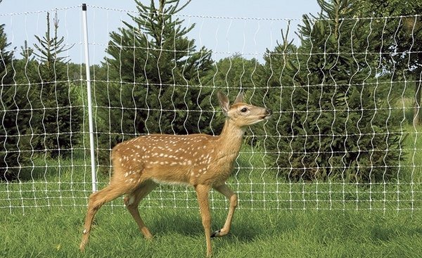 deer fence ideas wildlife fence deer net fencing 