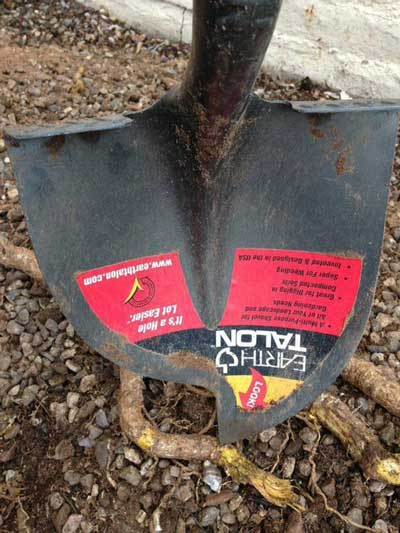 Earth Talon shovel digs through roots