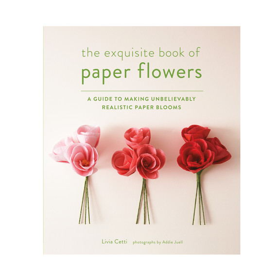 exquisite-book-of-paper-flowers-91003j-ms111099.jpg