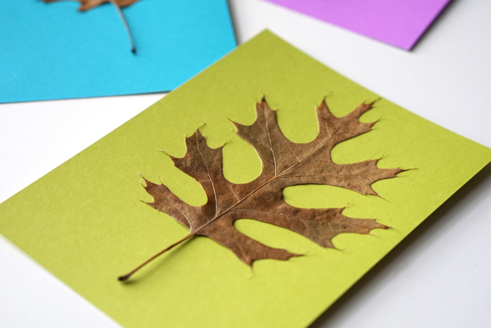 fall-leaf-cards8