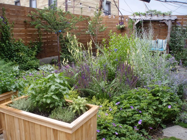 A Garden Grows in Brooklyn
Garden Design
Calimesa, CA