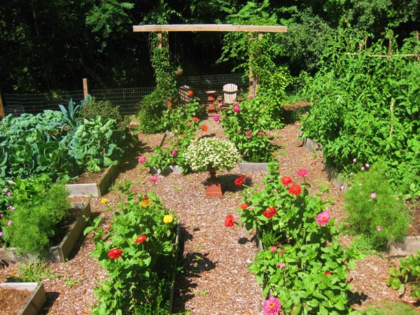 Creating a Raised Bed Garden
Garden Design
Calimesa, CA