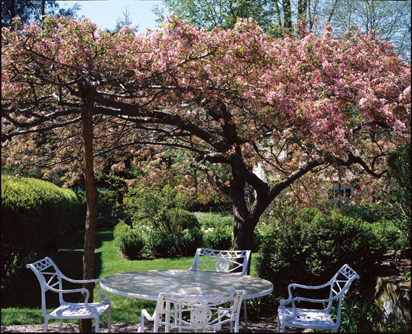 Duck Hill: Page Dickey's Garden in Upstate New York
Garden Design
Calimesa, CA