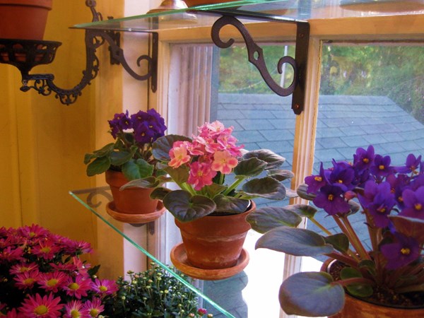 How to Design a Window Garden
Garden Design
Calimesa, CA