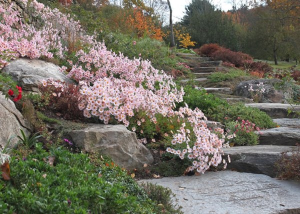 The Steinhardt Garden – A ‘Must Visit’ Landscape
Garden Design
Calimesa, CA
