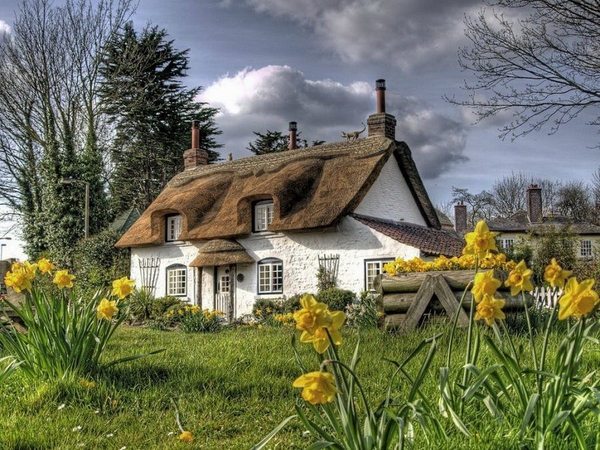 gorgeous cottage gardens English cottage garden ideas daffodils