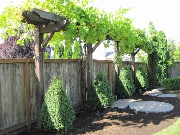 grape arbor ideas woorden construction garden fence 