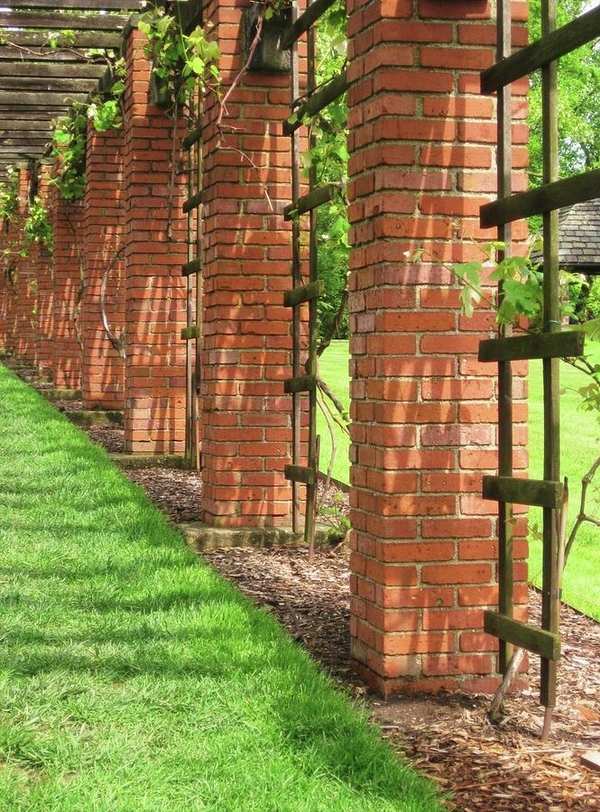 grape trellis arbor ideas garden path ideas backyard landscape