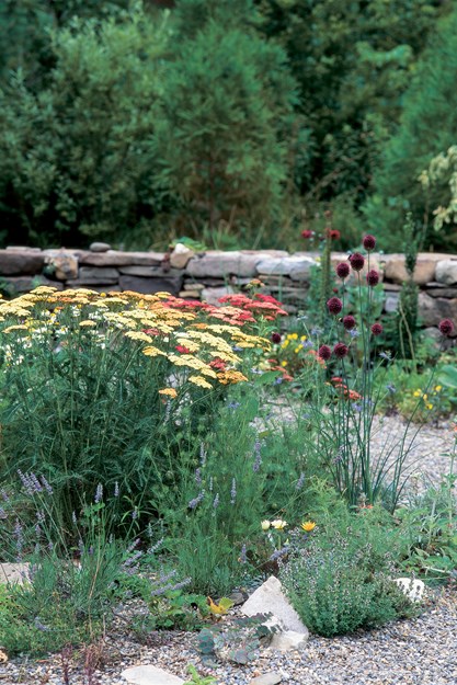 Gravel Garden, Gardening In Drought
Garden Design
Calimesa, CA