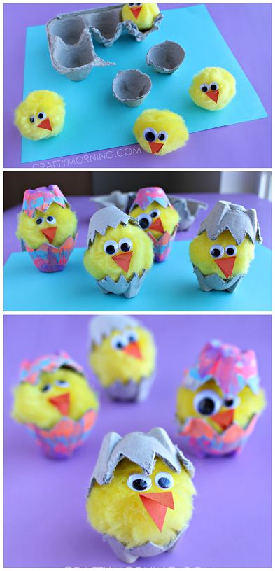 hatching-chicks-egg-carton