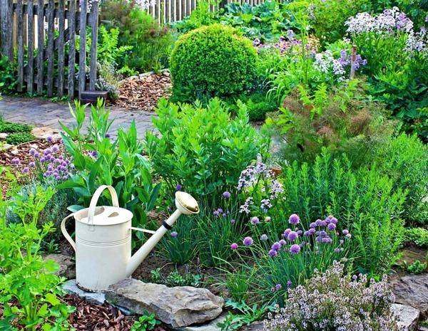 herb garden design ideas top herb plants home garden ideas
