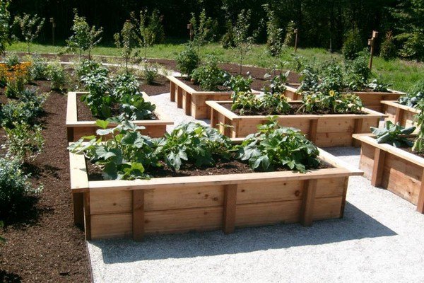 home gardening raised vegetable garden ideas rectangular raised beds
