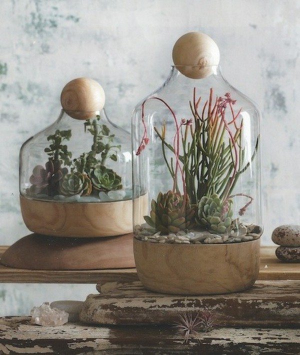 how to arrange terrarium ideas beautiful vessels plants succulents