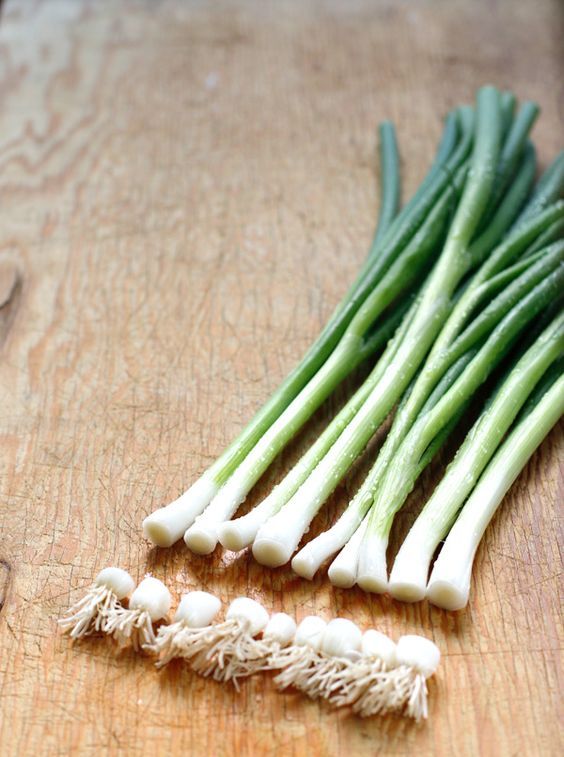 How To Grow And Use Spring Onions